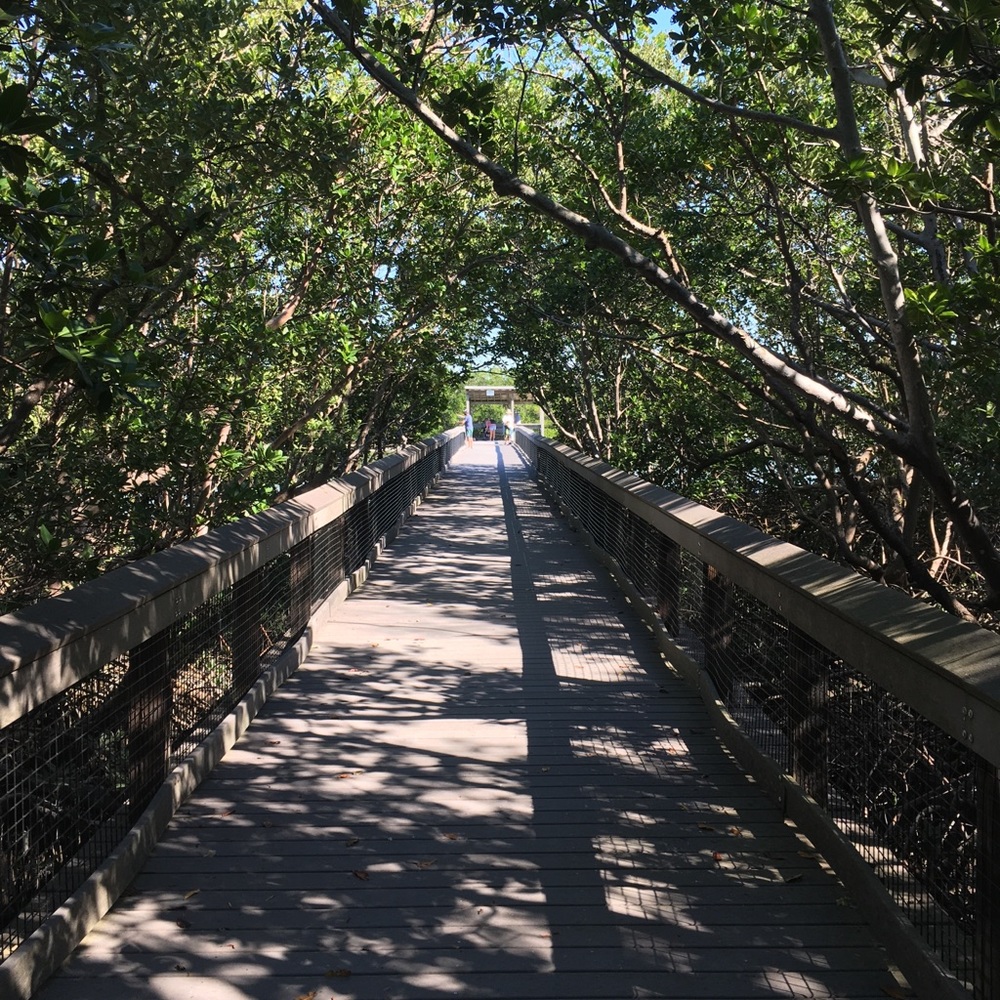 Meet your Posher, Joel